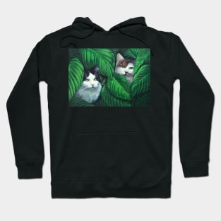 Cats hiding Hoodie